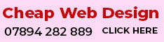 web design service