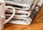 How to Access Free Website Submissions for Your Guest Posts