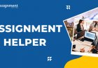 Fun Facts That Will Surprise You about The Assignment Helper Support