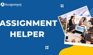 Fun Facts That Will Surprise You about The Assignment Helper Support
