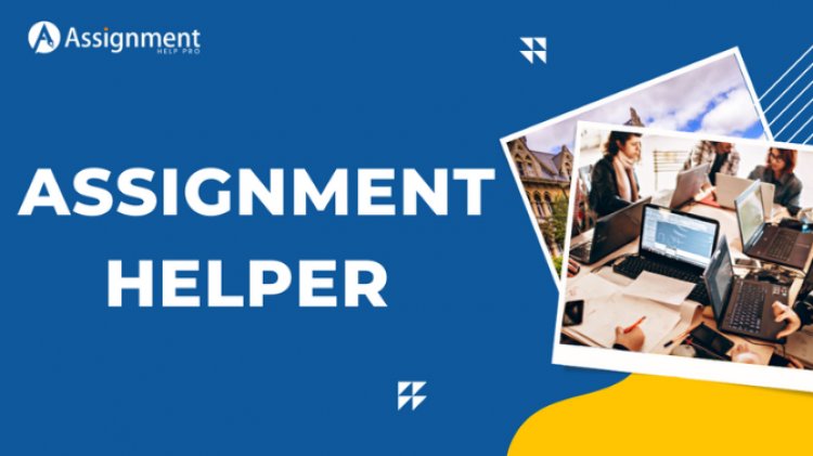 Fun Facts That Will Surprise You about The Assignment Helper Support